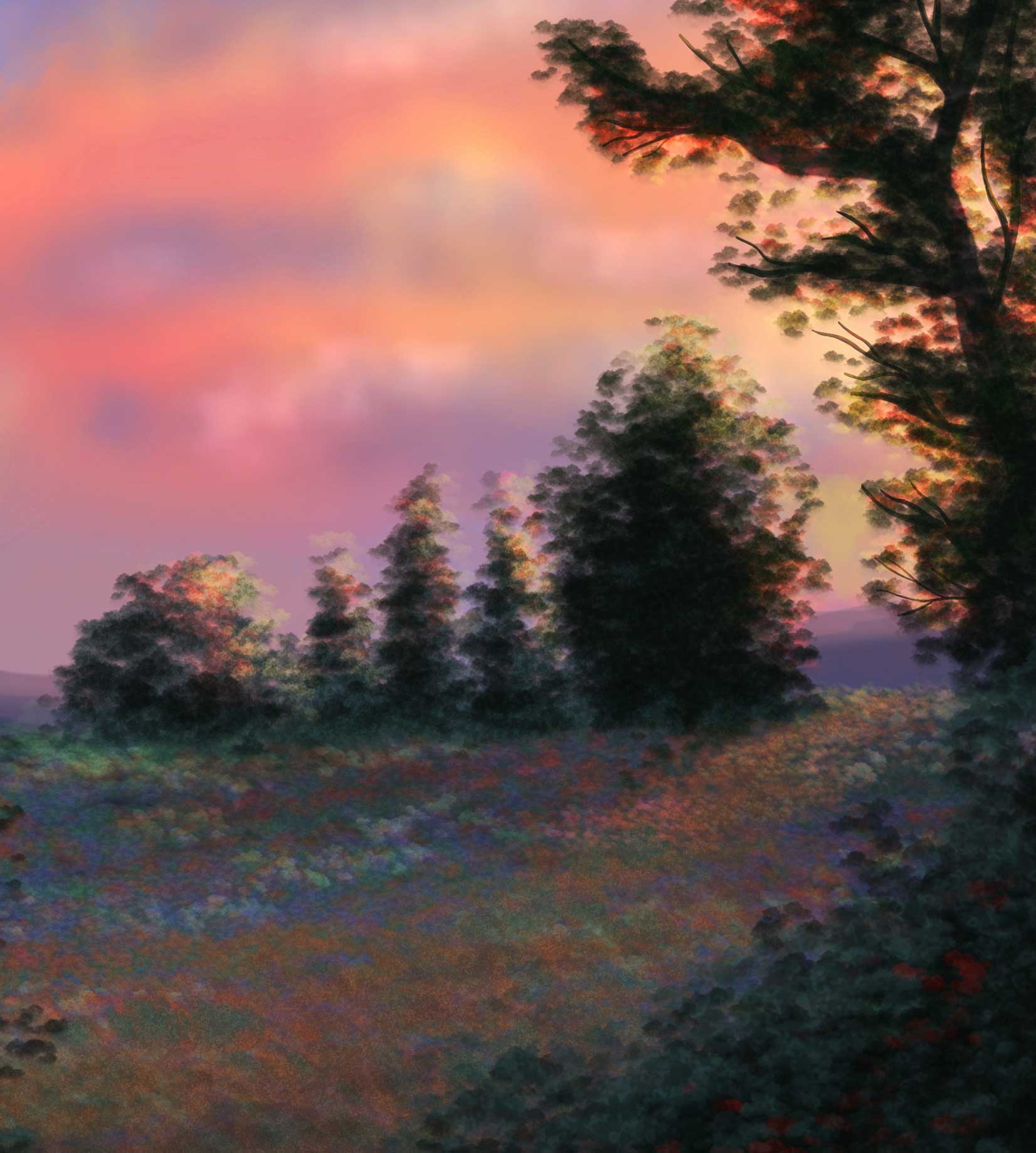 Cadenet digital illustration created by Anna Polhorodnyk