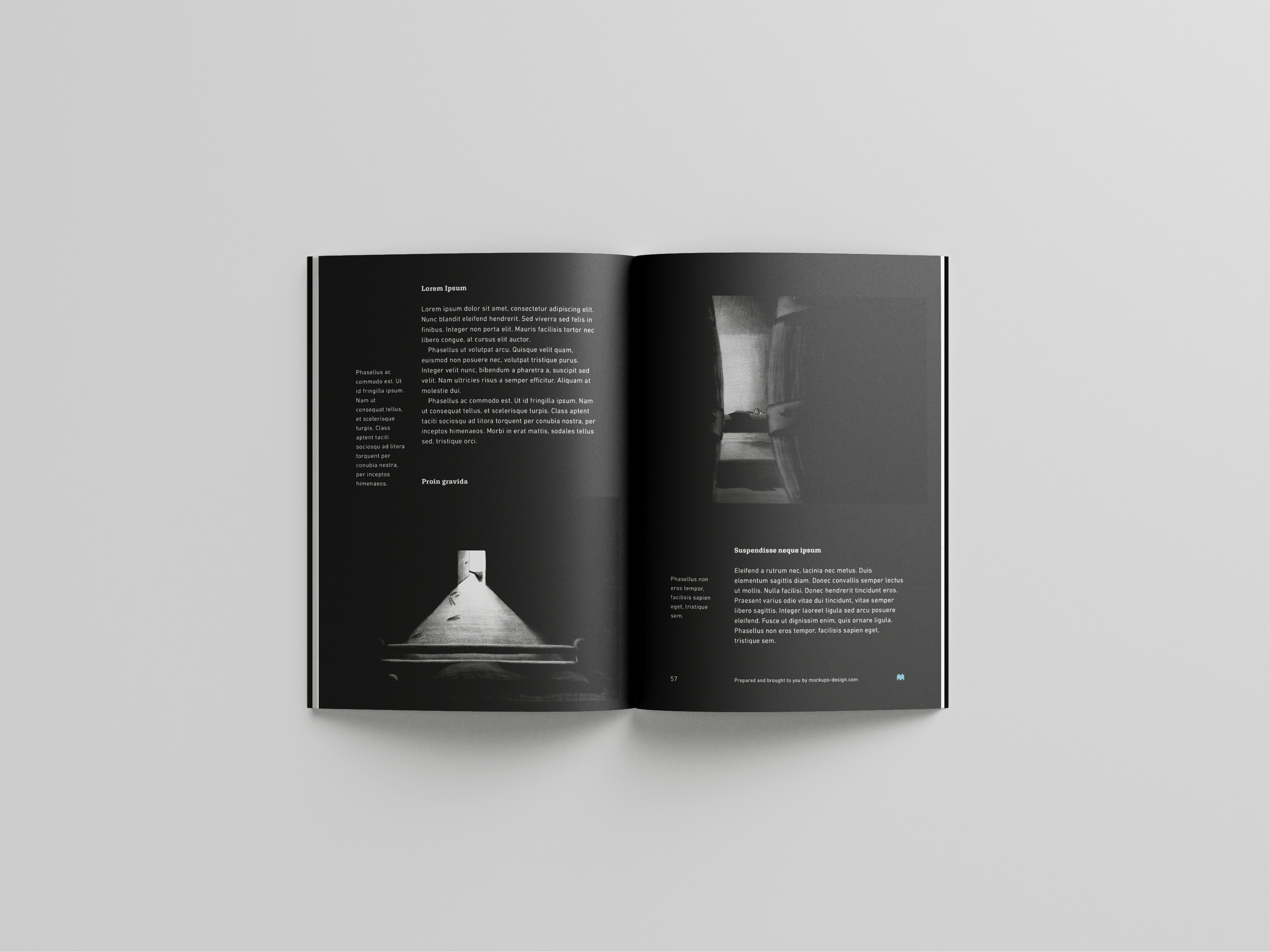 Digital illustrations in a book