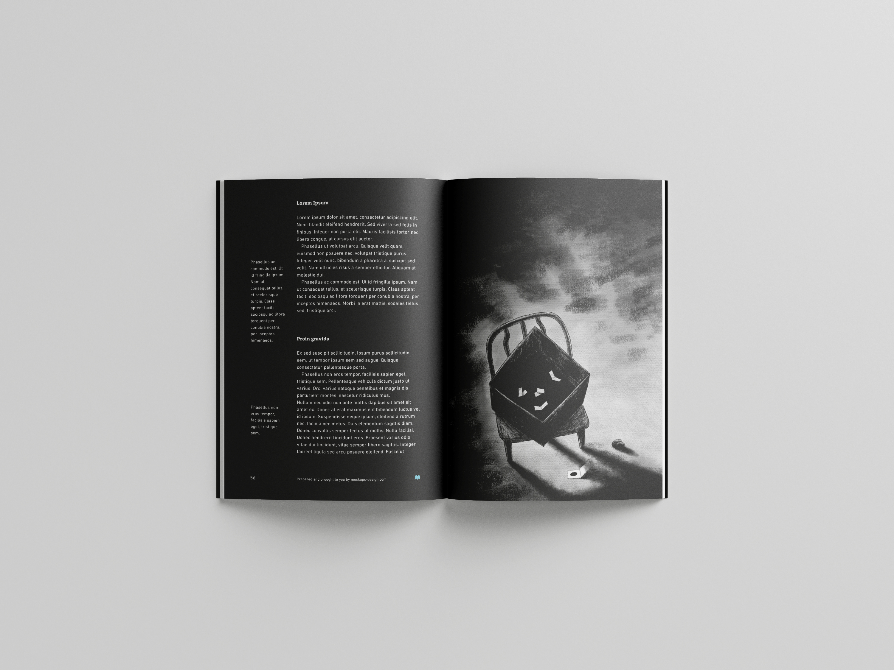 Digital illustrations in a book